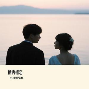 俩俩相忘 (Cover 辛晓琪)