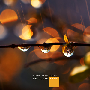 Ambiances pluvieuses