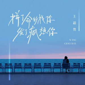 拼了命的找你发了疯想你 (DJ久乐版)