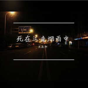 死在江南烟雨中