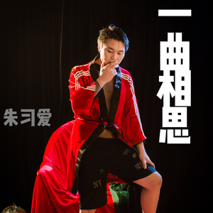 一曲相思 (抖音版)