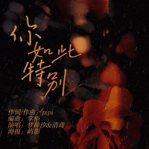 你如此特别