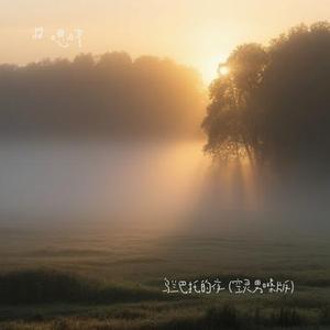 乌兰巴托的夜  (空灵男嗓版) (Cover 王大泽)