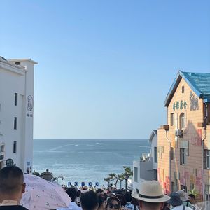 阳台的茉莉花还等着浇水