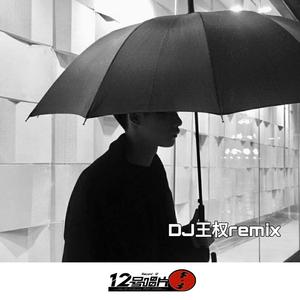 不后悔遇到你（DJ修改版）