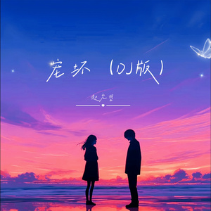 宠坏 (DJ版)