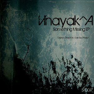 There Is Something Missing