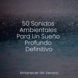 Susurros del Sauce Durmiente
