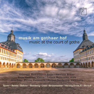 Große Concert-Fantasie for Cello and Orchestra, Op. 33