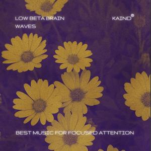 18 Hz (Sentence Builder)