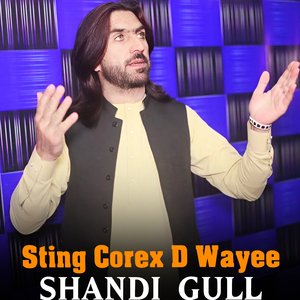 Sting Corex D Wayee