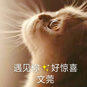 遇见你的时候所有星星都落在我肩上（Shining）