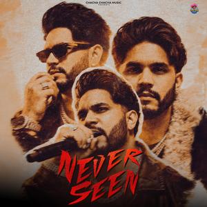 Never Seen (feat. Waqas Mxlik & Haider Lyallpuria)