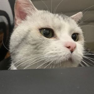 00 后专属的青春旧忆