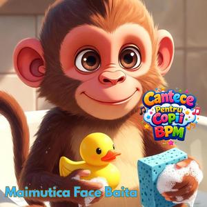 Maimutica Face Baita