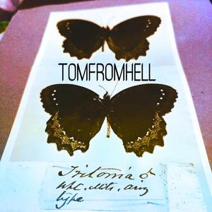 Upon A Falling Satellite