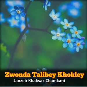 Zwonda Talibey Khokley