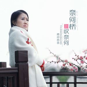 奈何桥上叹奈何 (DJ版伴奏)
