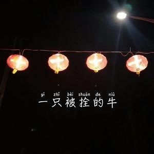 夏夜(助眠无人声版)