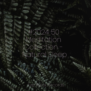 Legacy's Echoing Cry