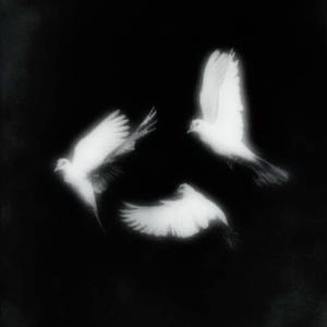 imitadora (instrumental)