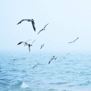 迷幻太空瓢虫 - 第12章