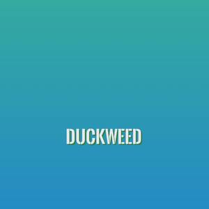 Duckweed