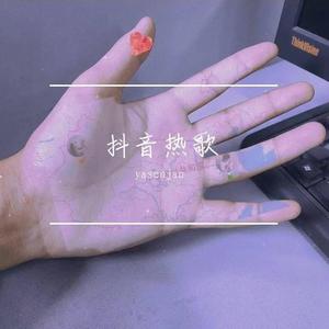 张紫豪-可不可以—(抖音版）（yasenjan remix）