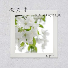 梨花香 (梨花哪有20岁香变速)