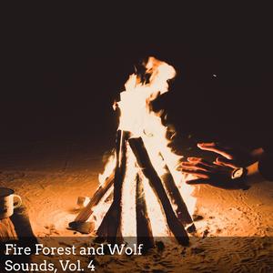 Insects And Thunder Noise