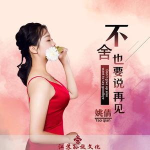 不舍也要说再见 (DJ何鹏版)