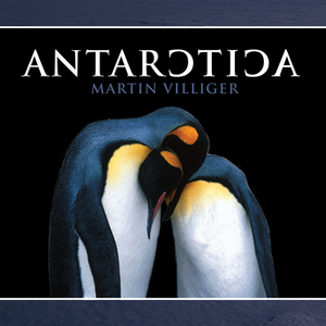 Goodbye (See You Again)