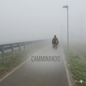 CAMMINANDO