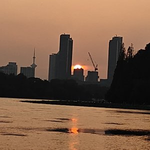 野狗不需要坟墓，狂奔到腐烂就好