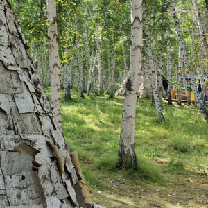 你的痛苦我都心疼想为你解决