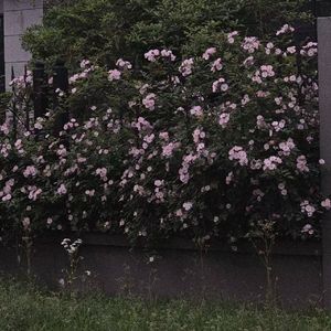 one more time,one more chance