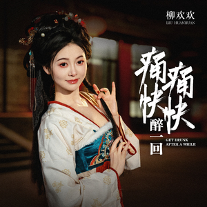 痛痛快快醉一回 (DJ默涵版)