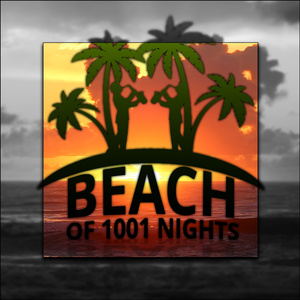 Nuit salée (House Version)