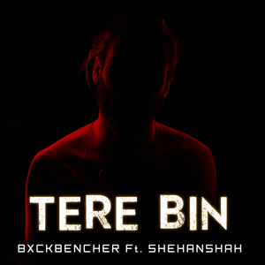 Tere Bin