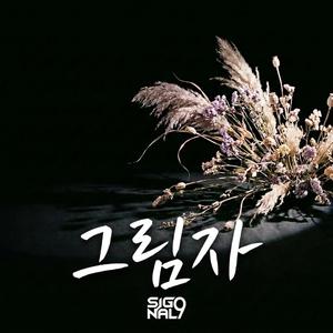 그림자