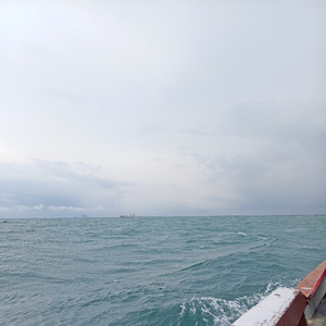 Survive the day in your heart