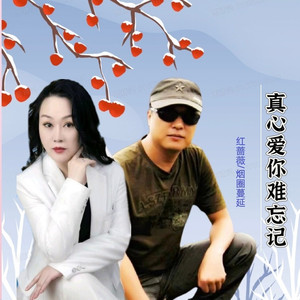 真心爱你难忘记 (对唱版)
