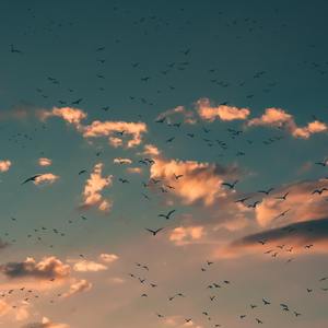 【Instrumental】'Airiness'