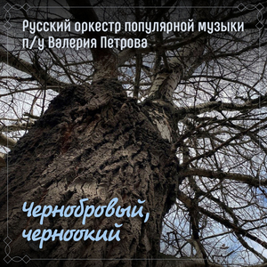 Ах вы, сени