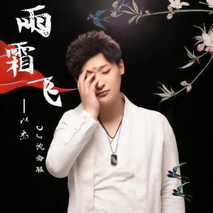 雨霜飞 (DJ沈念版)