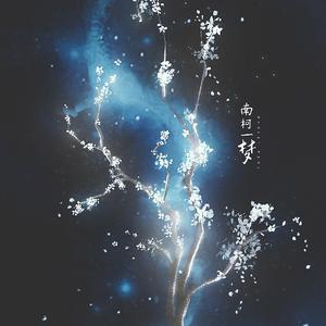 南柯一梦