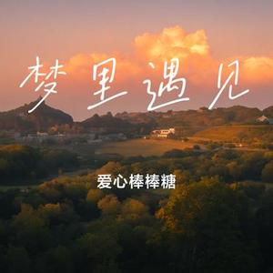 梦里遇见