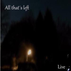 the other day (live)