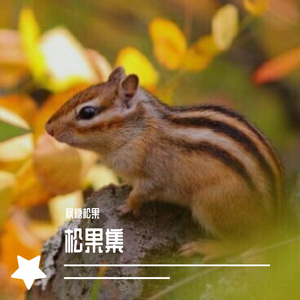 nocturne（翻自 Anne Takle）