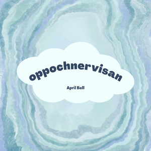 Oppochnervisan